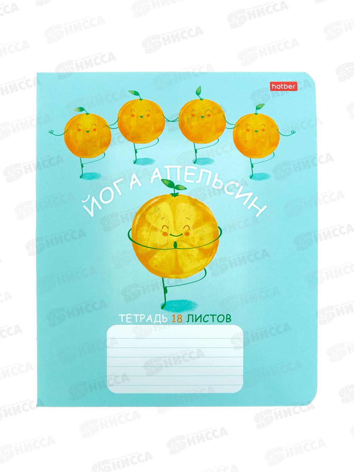 Тетрадь 18листов клетка Hatber Апельсиновая йога,083170 *10/120