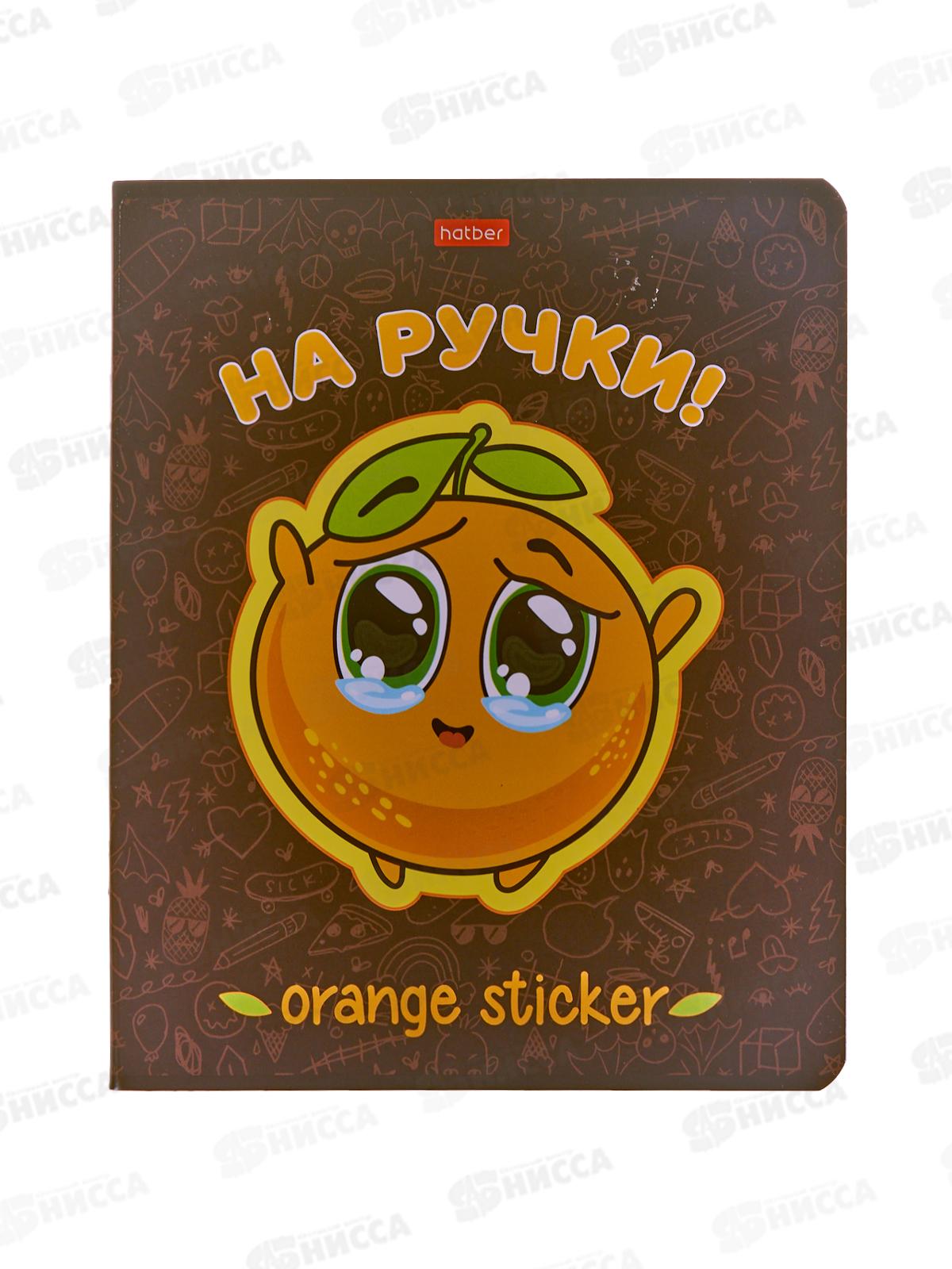 Тетрадь 48л кл. Hatber Оранжевое настроение,082310*10/100