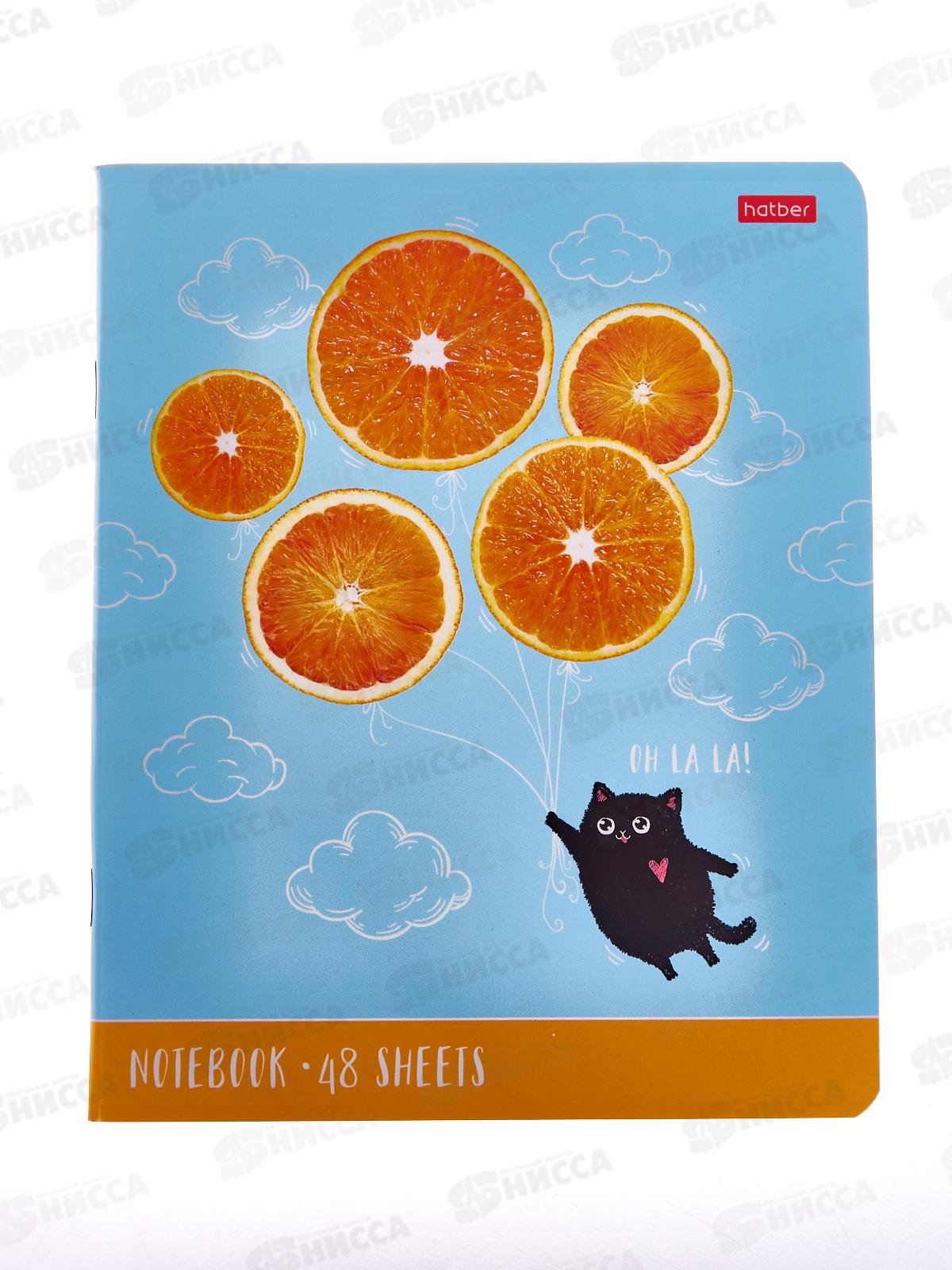 Тетрадь 48листов клетка  Hatber Котик-апельсинка,082799 *10/100
