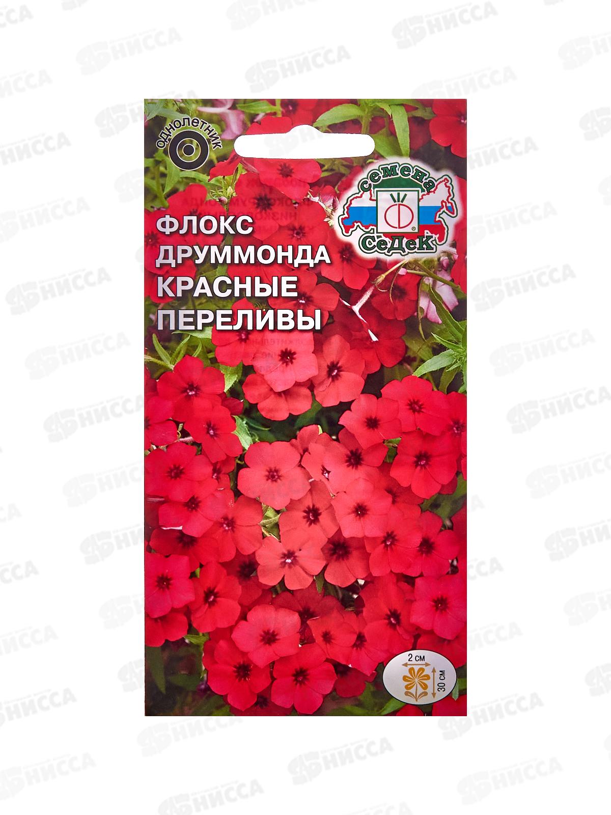 Флокс Друммонда Красные Переливы (низкоросл) (Евро, 0,2) ассорти СеДек *10
