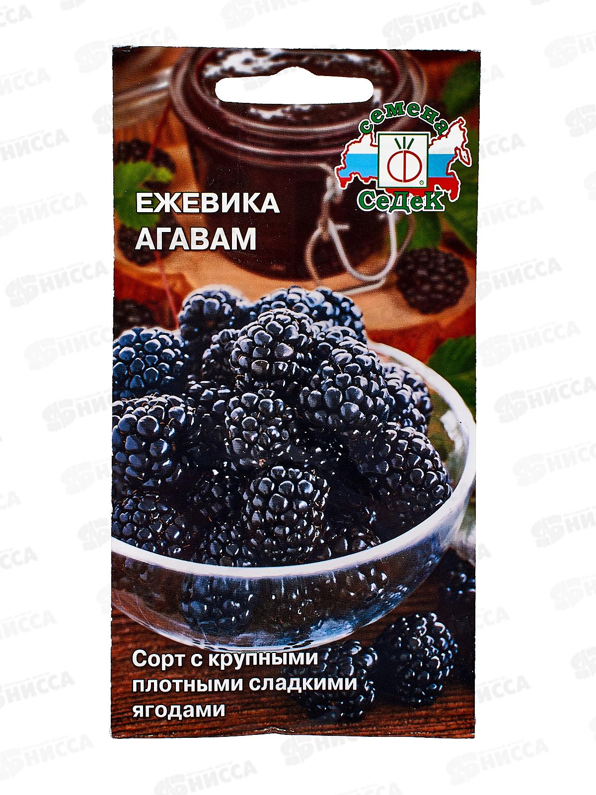 Ежевика Агавам (Евро, 0,05) *10 СеДек +