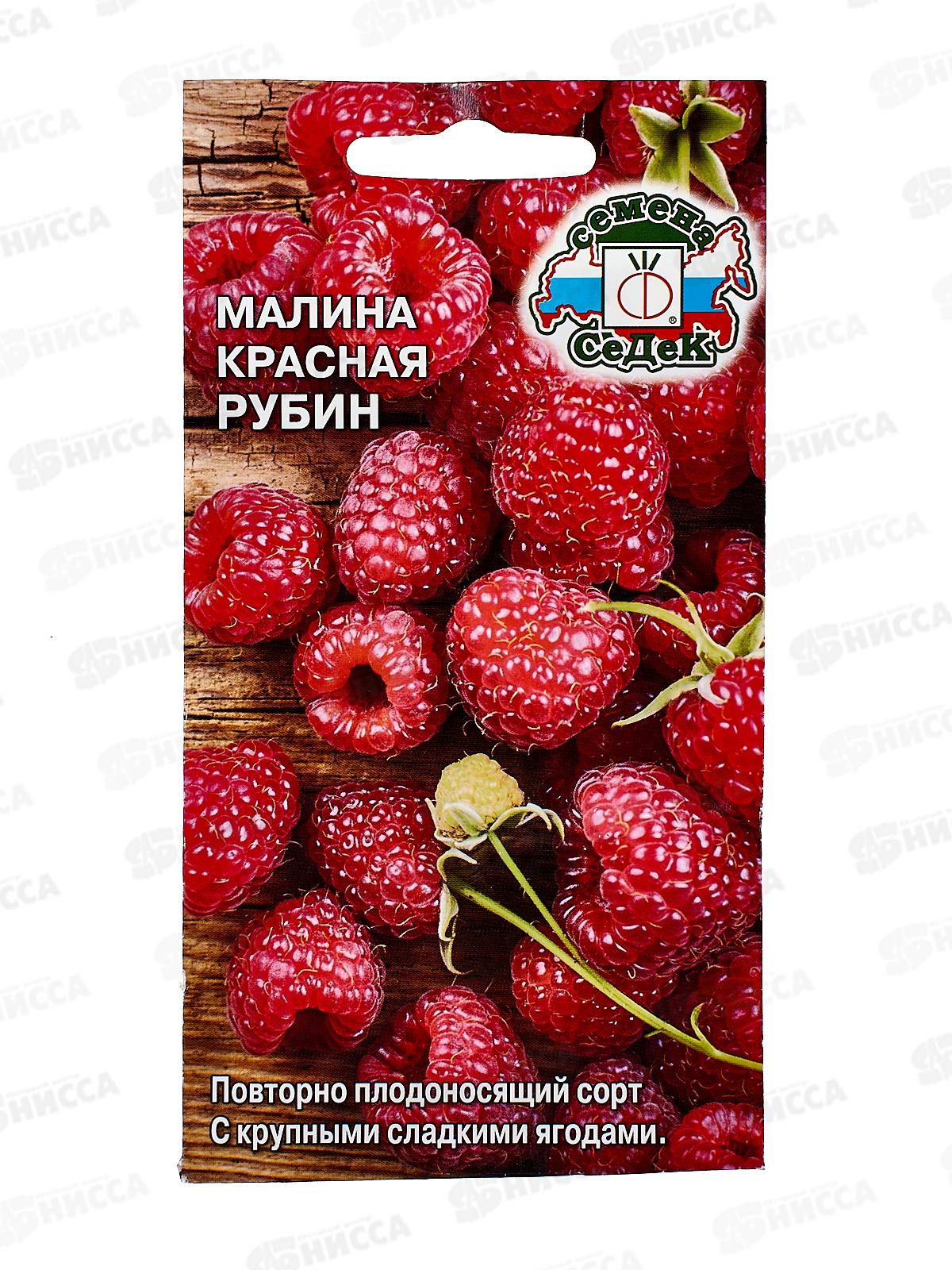 Малина Красная Рубин (Евро, 0,05) *10 СеДек +