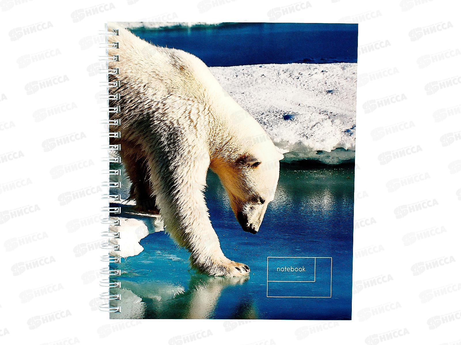 Тетрадь 80листов линия  ЭКСМ А5 Дикие животные, греб., ТСЛ808563 *6/60