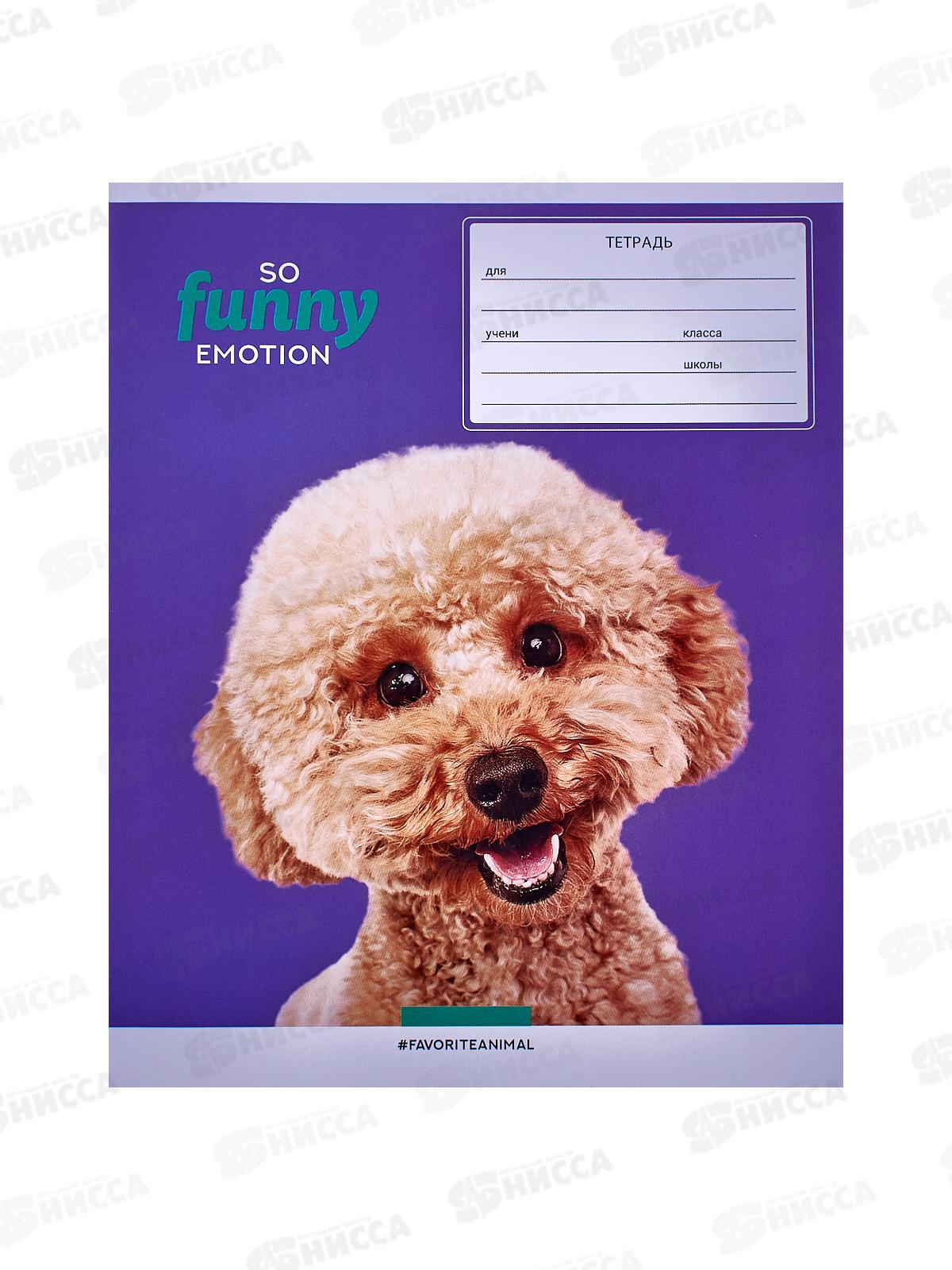 Тетрадь 12л лин. ArtSPACE Питомцы o funny 43230*20/240
