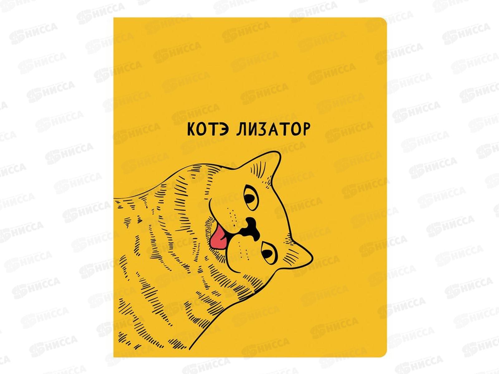 Тетрадь 48листов клетка  BG Приколись 11070,*4/56