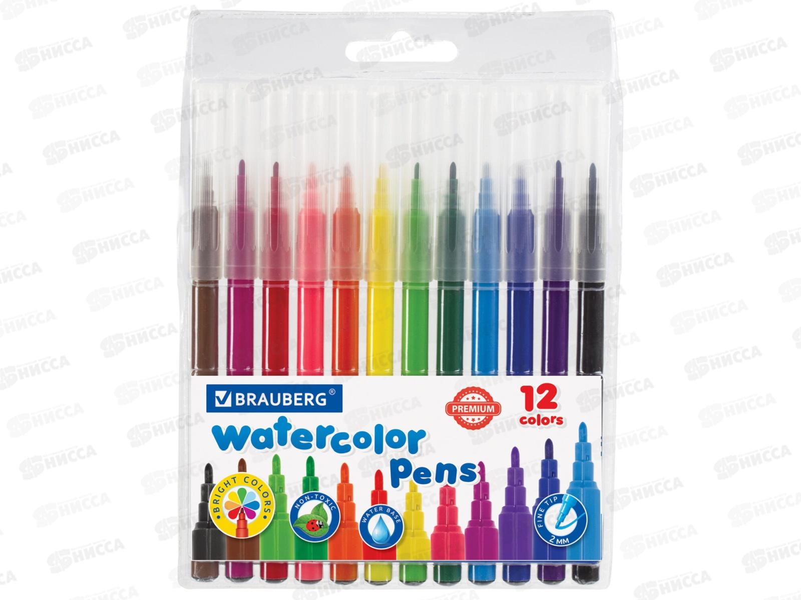 Фломастеры 12 цветов BRAU классические premium,151934*24