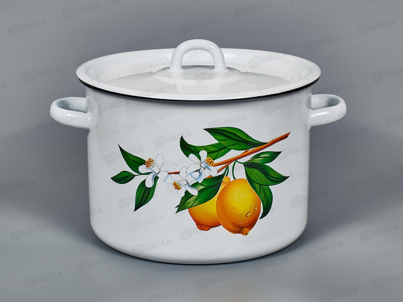 Кастрюля 4,5л эмалированная с рисунком 01-1615/4 Лимоны *2