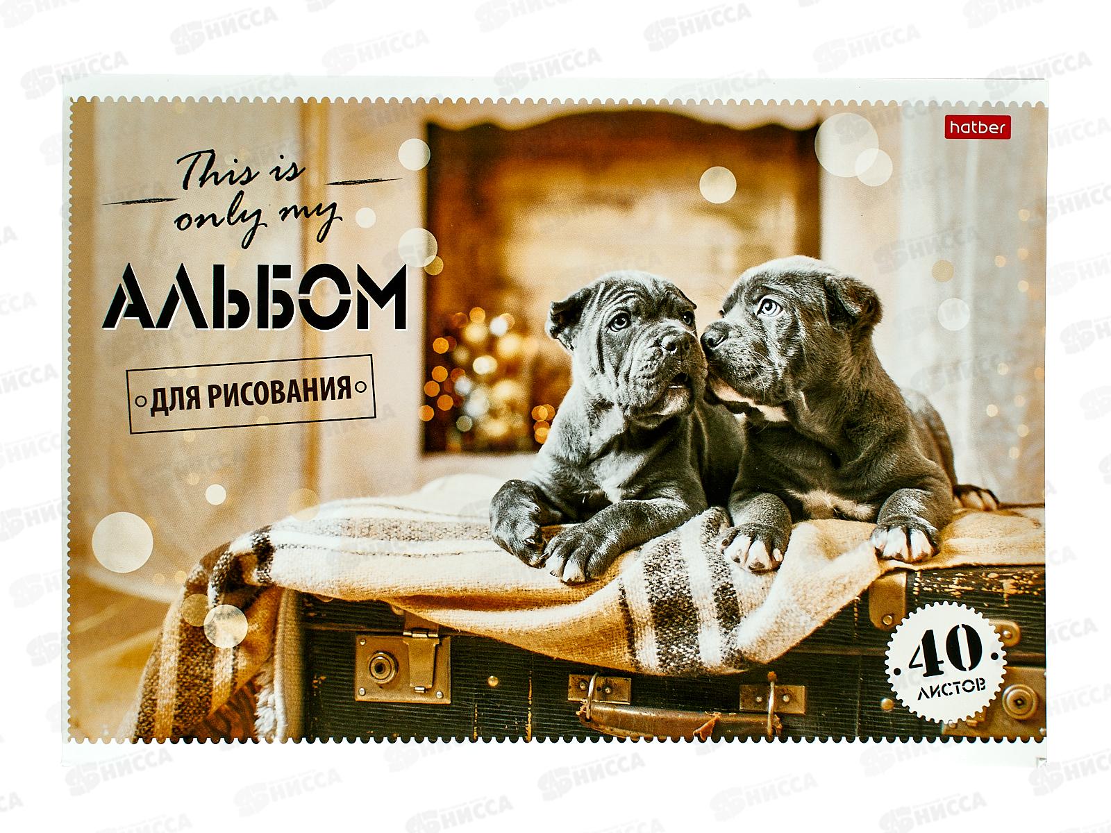 Альбом для рисования 40л Hatber Ассорти 051869 *4/32