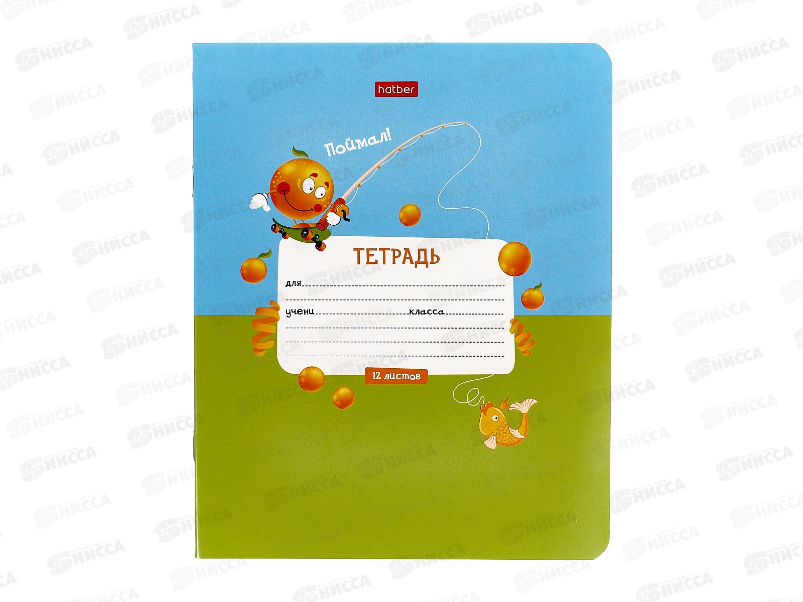 Тетрадь 12листов клетка Hatber Экстримальный апельсинчик 083244  *10/140