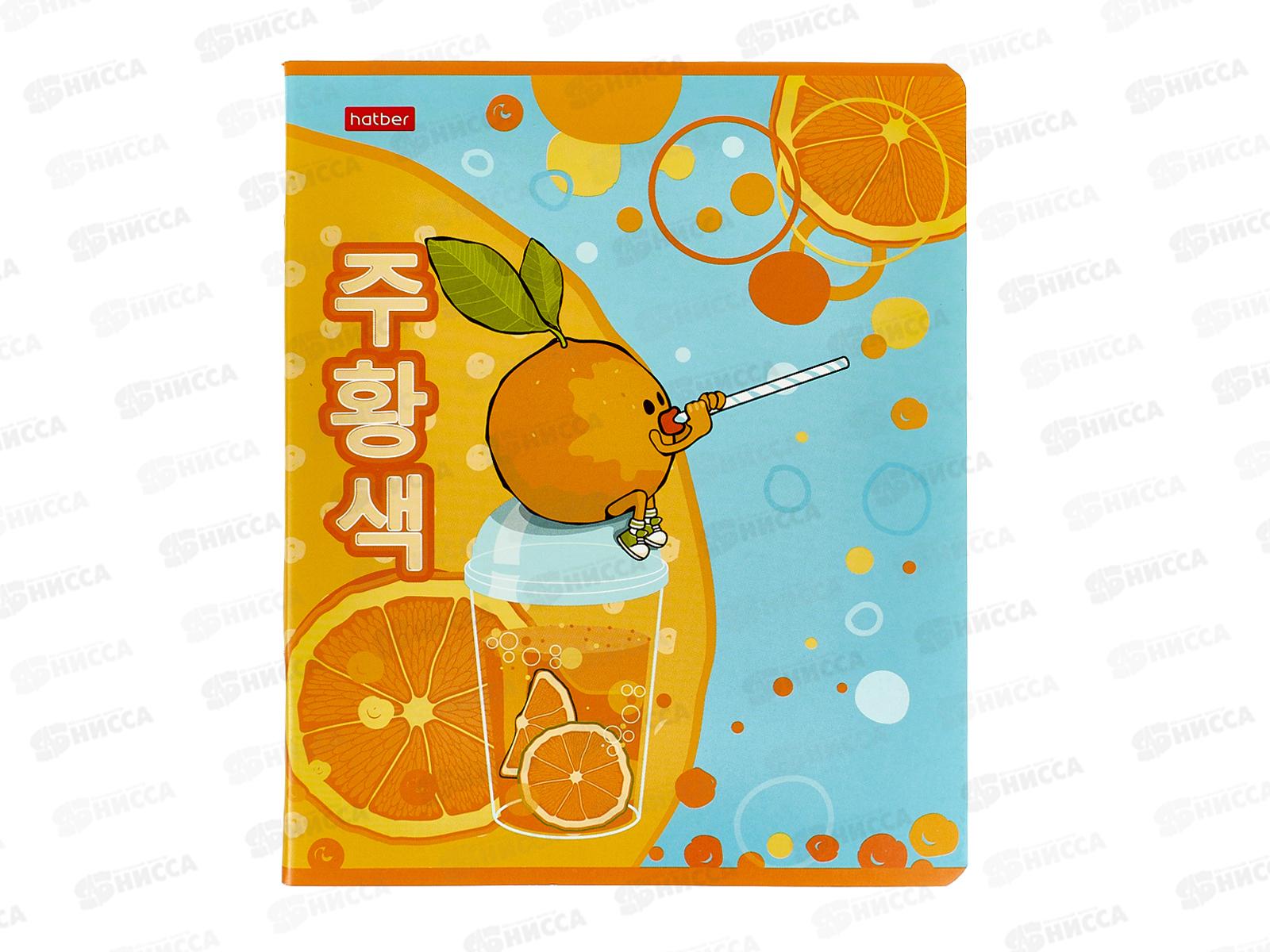 Тетрадь 48листов клетка  Hatber Озороной апельсинчик 082845*10/100