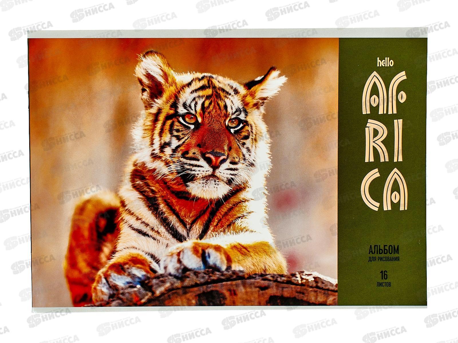 Альбом для рисования 16л schoolФОРМАТ Приключения в сафари, АЛ16-ПРС *70