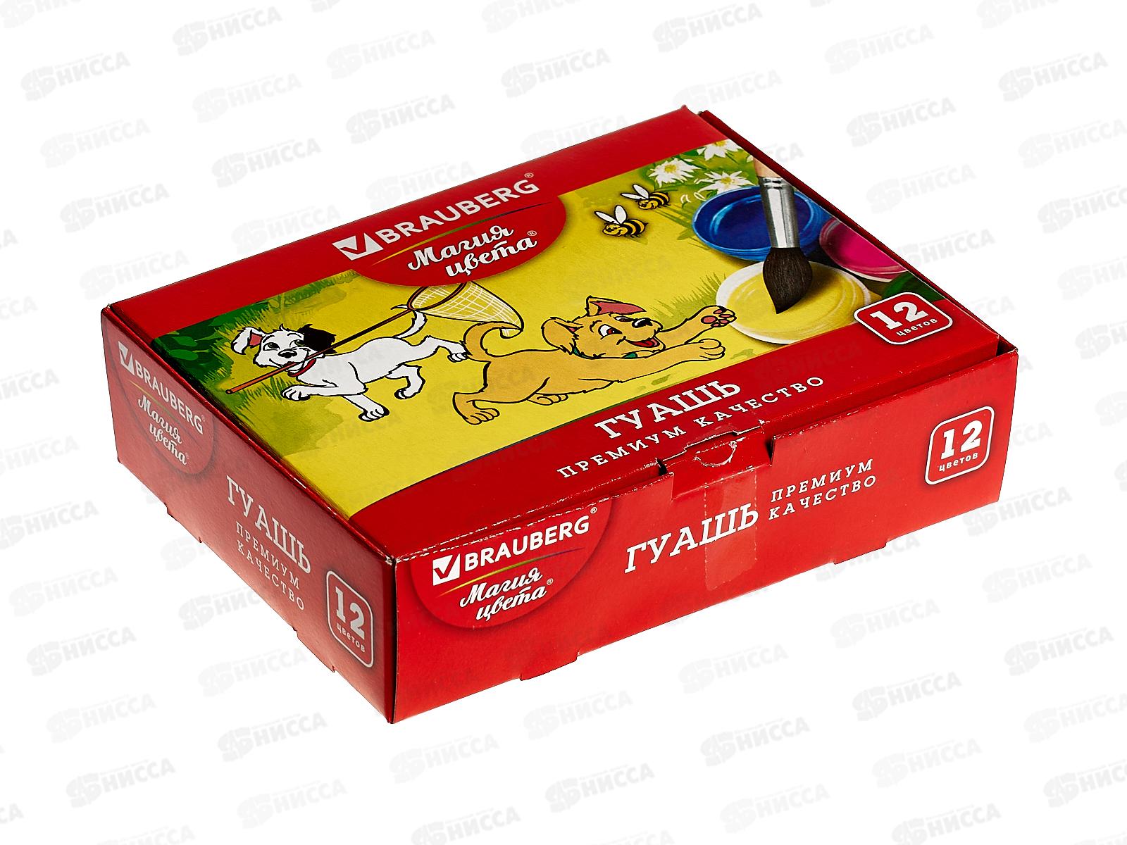 Гуашь художественная  BRAU Магия цвета 12цв 20мл, 190557 *18