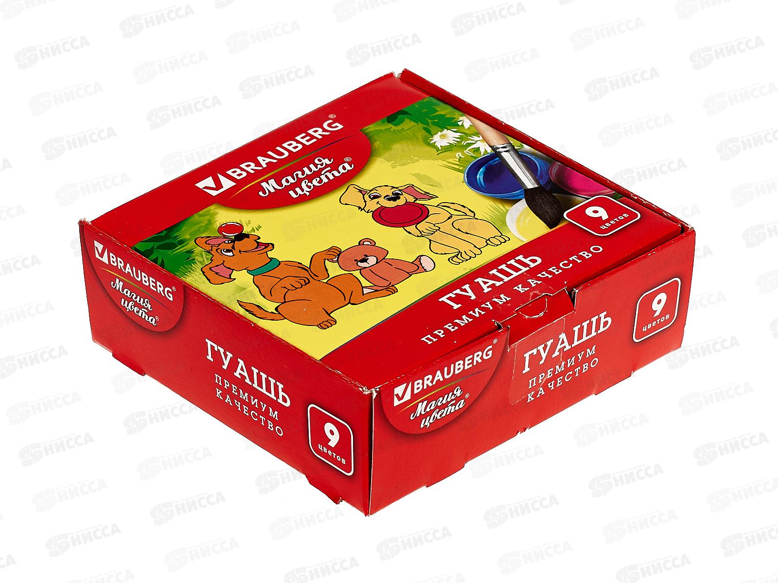 Гуашь художественная BRAU Магия цвета 9цв 20мл, 190556 *24