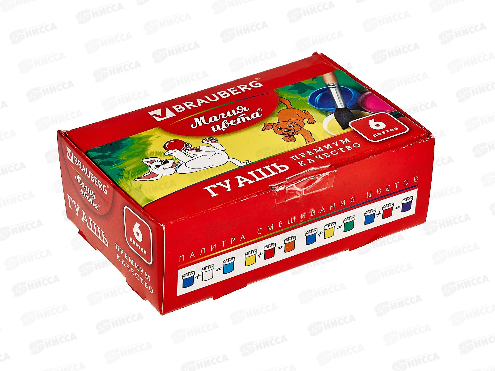 Гуашь художественная BRAU Магия цвета 6цв 20мл, 190555 *36