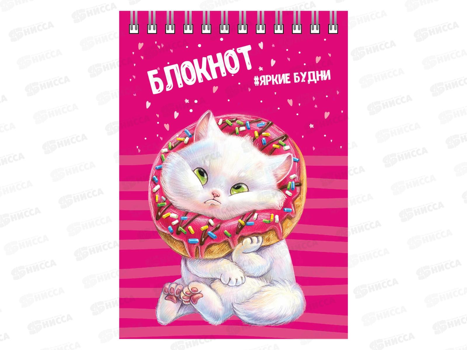 Блокнот 80листов ФЕН А6 Кот, 64305 *5/100