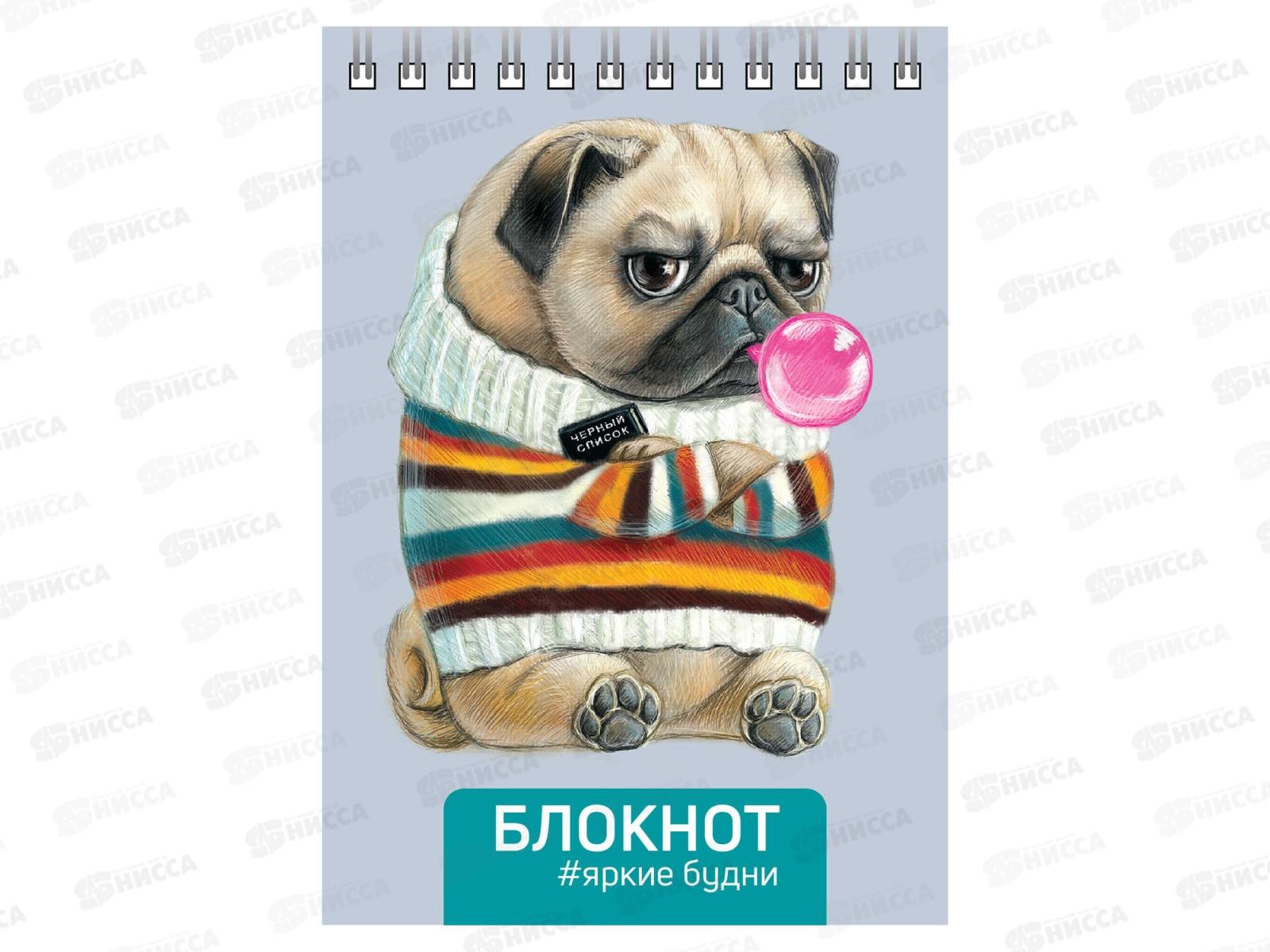 Блокнот 80листов ФЕН А6 Мопс, офс., лак.,64306 *5