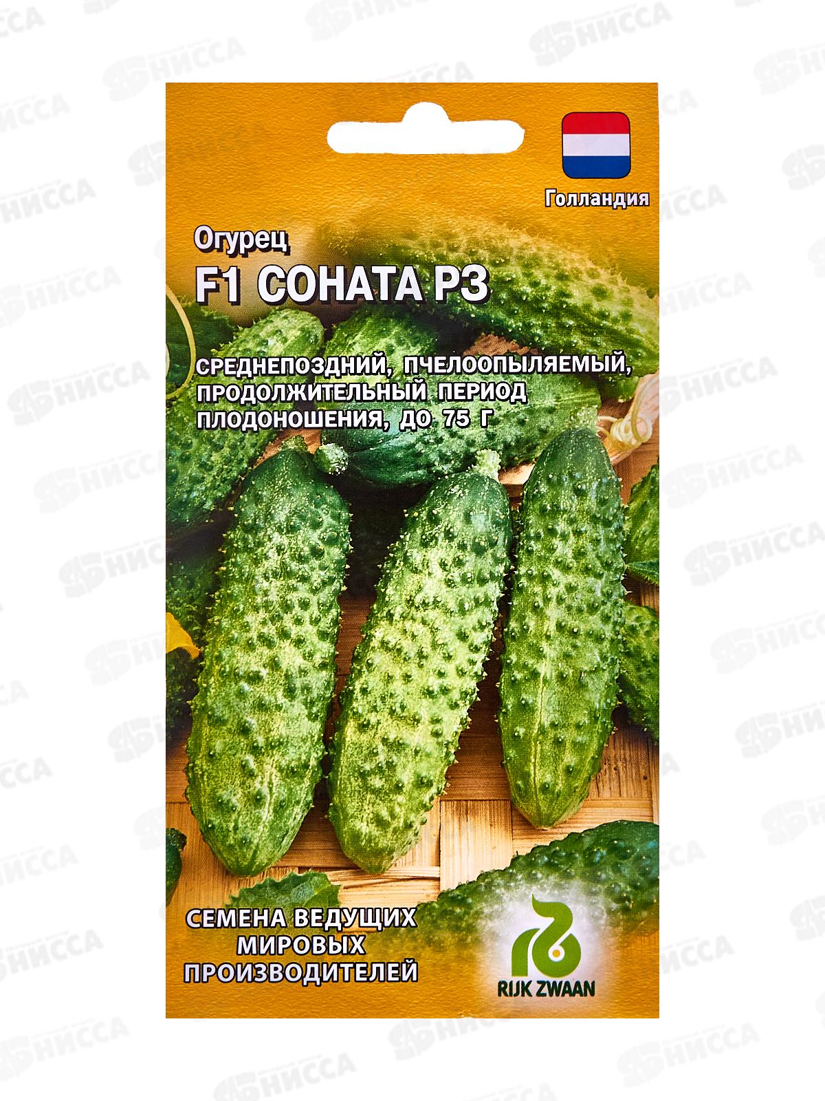 Огурец Соната РЗ F1 10шт Голландия Н19  *10 ГШ срок до 12.25