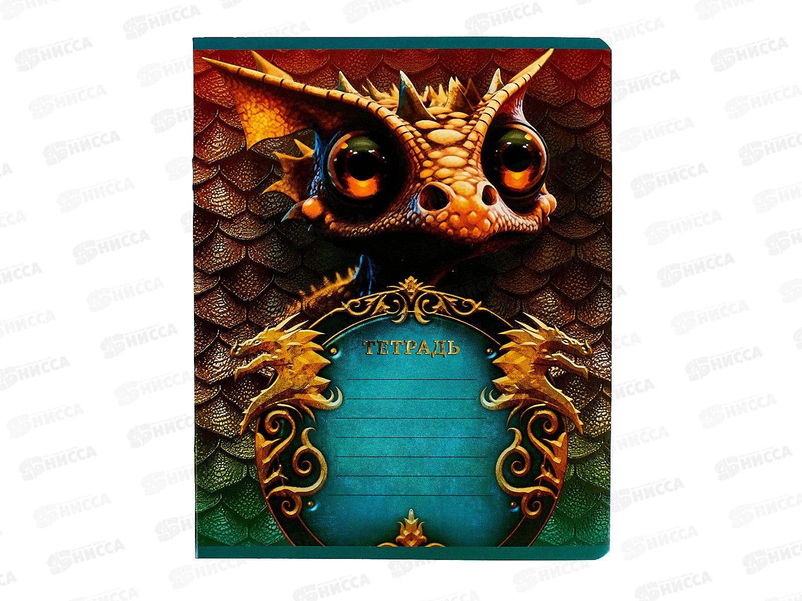 Тетрадь 12листов клетка ПЗБМ Дракоша 15236*20/120