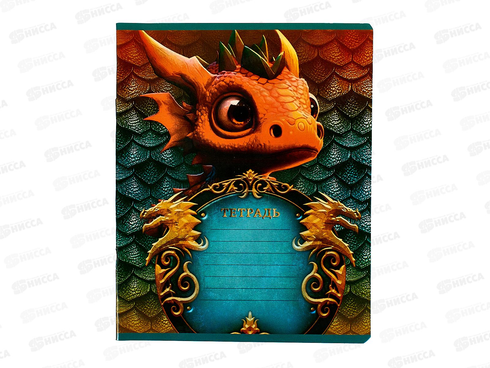 Тетрадь 12листов линия ПЗБМ Дракоша 15229*20/120