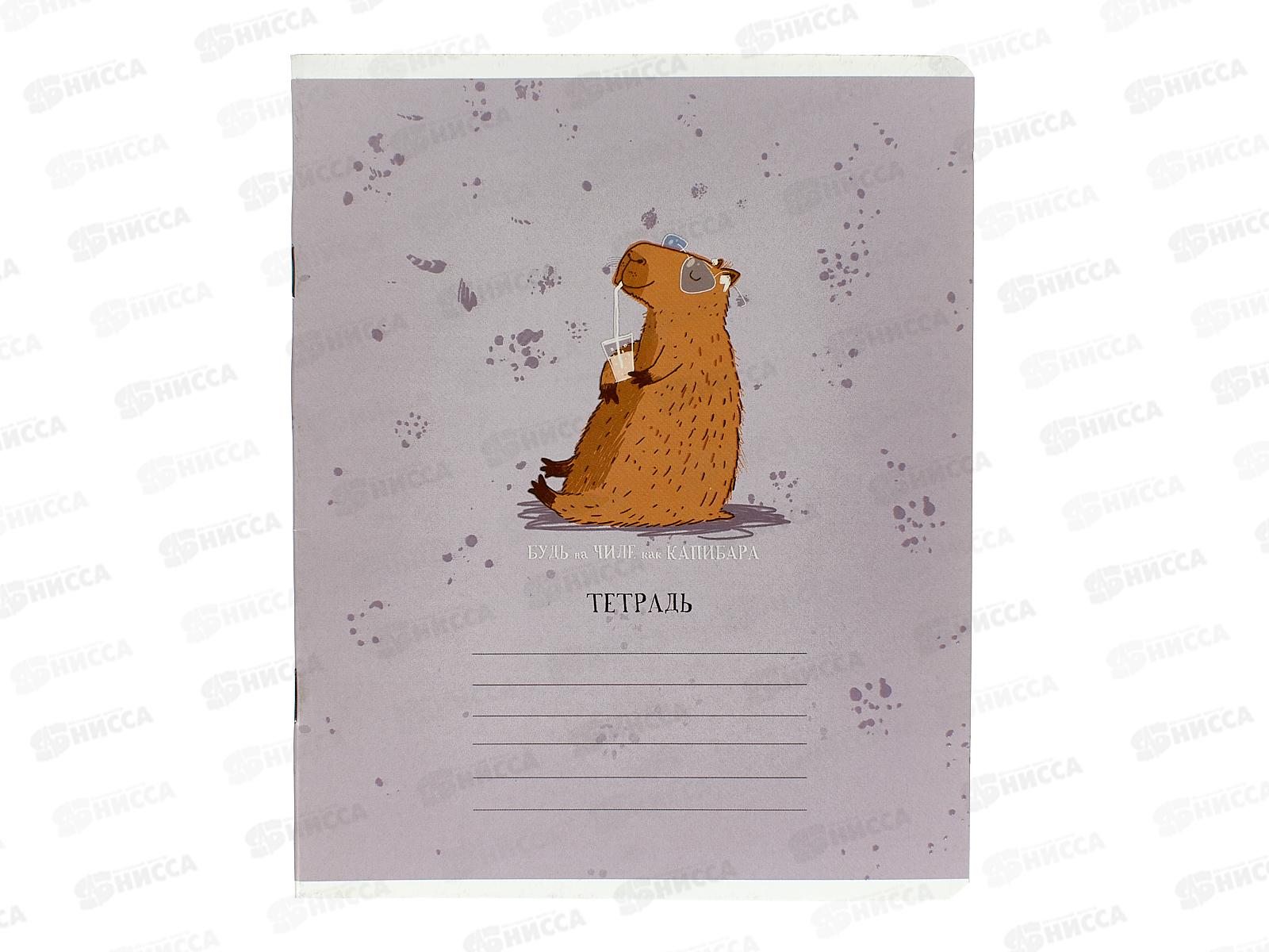 Тетрадь 18листов линия ПЗБМ Будь как капибара 015205*10/100