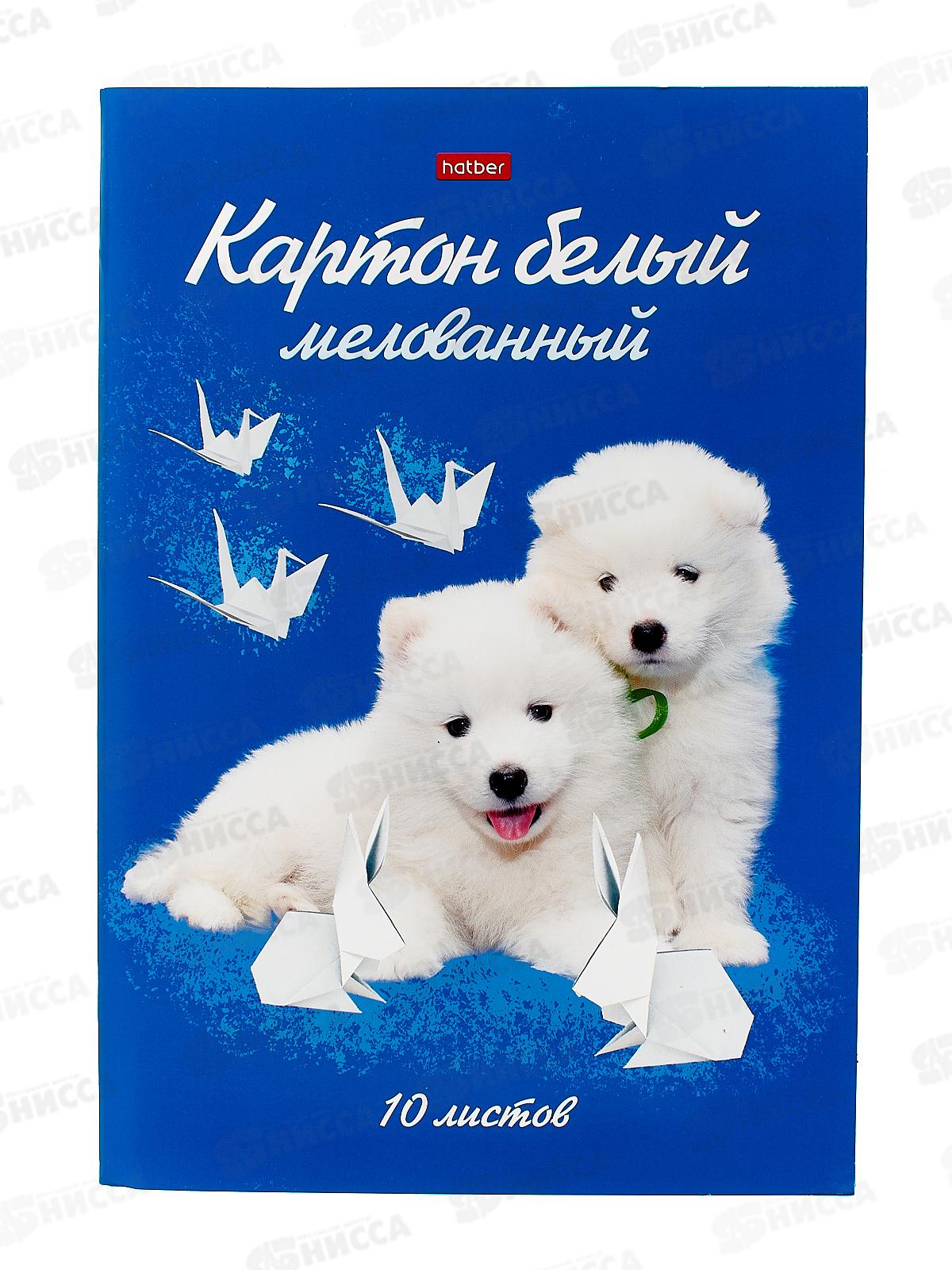 Картон белый Hatber А4  10л Милые создания 12374 *20