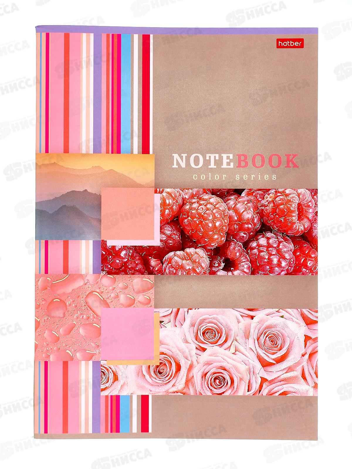 Тетрадь 96листов линия  Hatber Моменты радости А4 083216*24