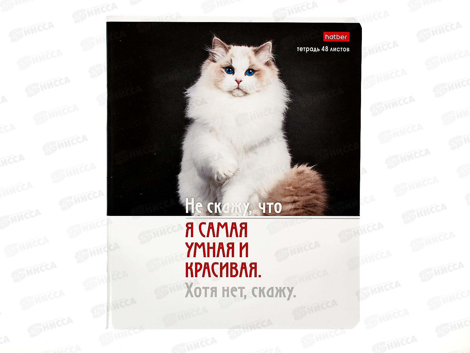 Тетрадь 48листов клетка  Hatber Котоюмор офс.  *5/60
