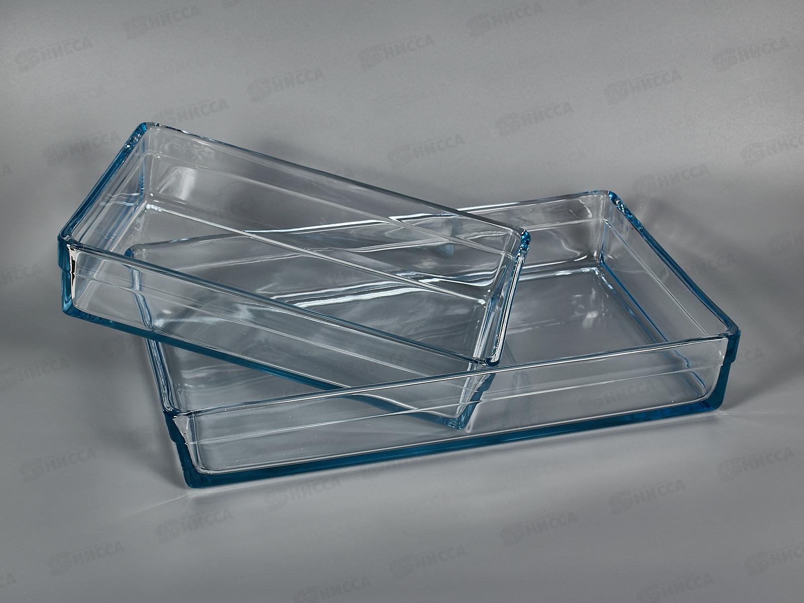 Набор посуды для СВЧ 2 предмета 159128  (для запекания)