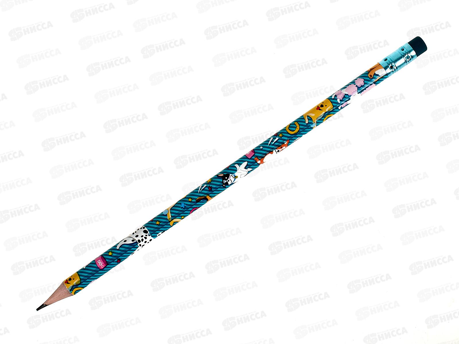 Карандаш чернографитный с ластиком Hatber Petzon 079536*72/288