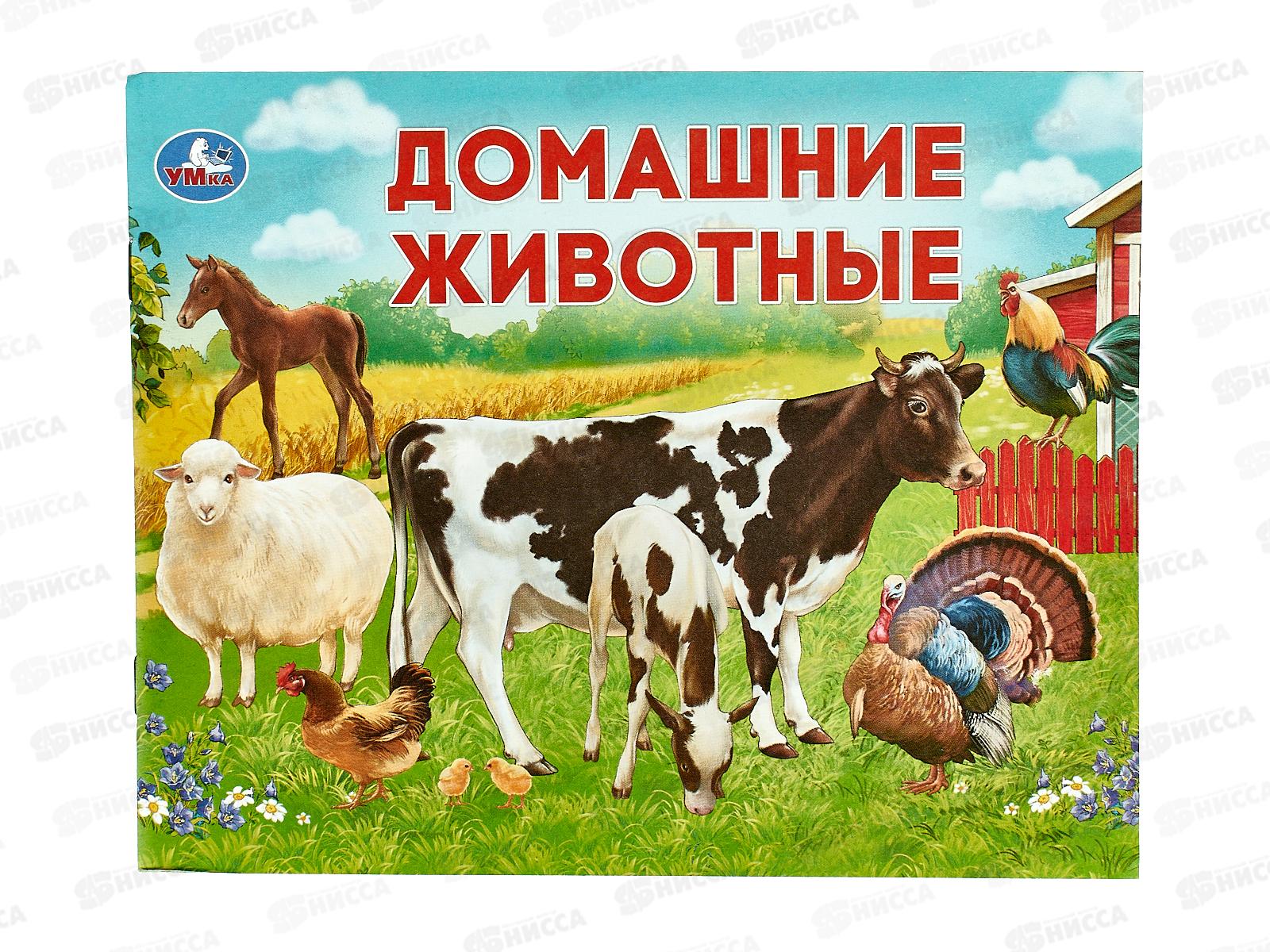 Книга 07591-2 Умка: Домашние животные. Умный малыш 200х160  *50