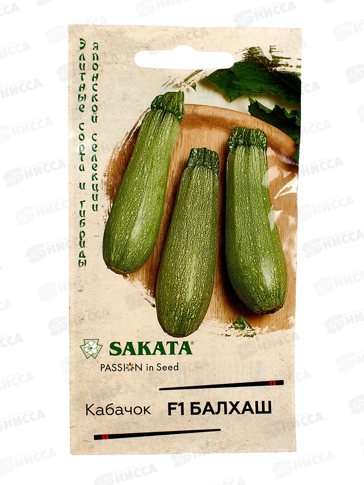 Кабачок Балхаш F1 5шт Н22  *10 ГШ