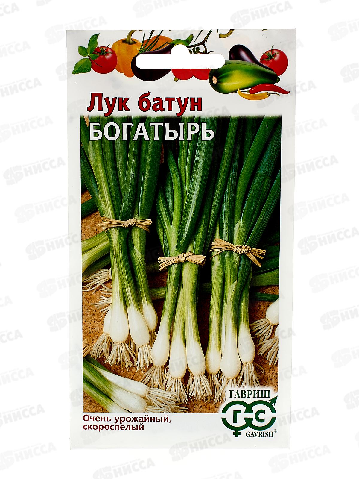 Лук батун Богатырь 0,5г Н22 *10 ГШ +