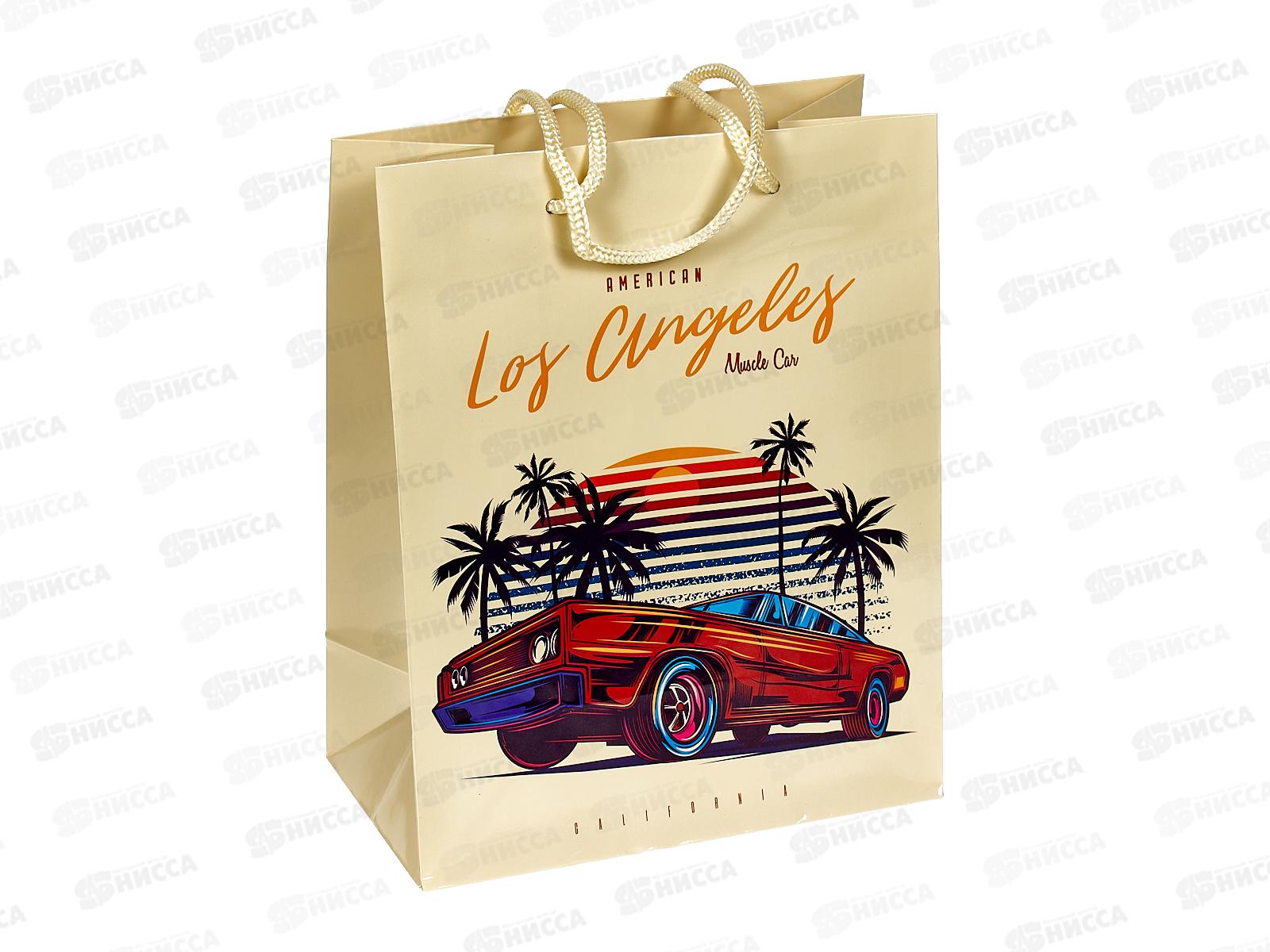 Пакет подарочный MI 18х23х10см Красная машина ПКП-4224  *12