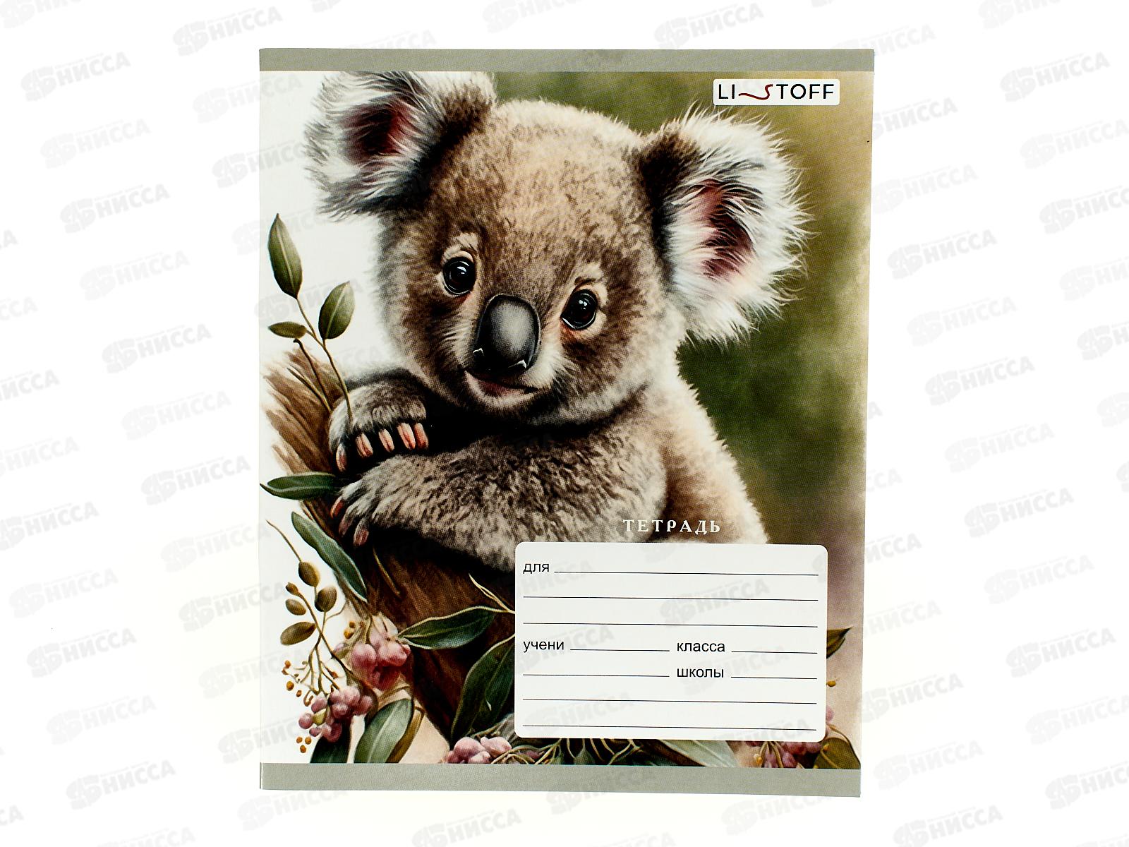 Тетрадь 18листов клетка  ЭКСМ В дикой природе ТК188889 *80