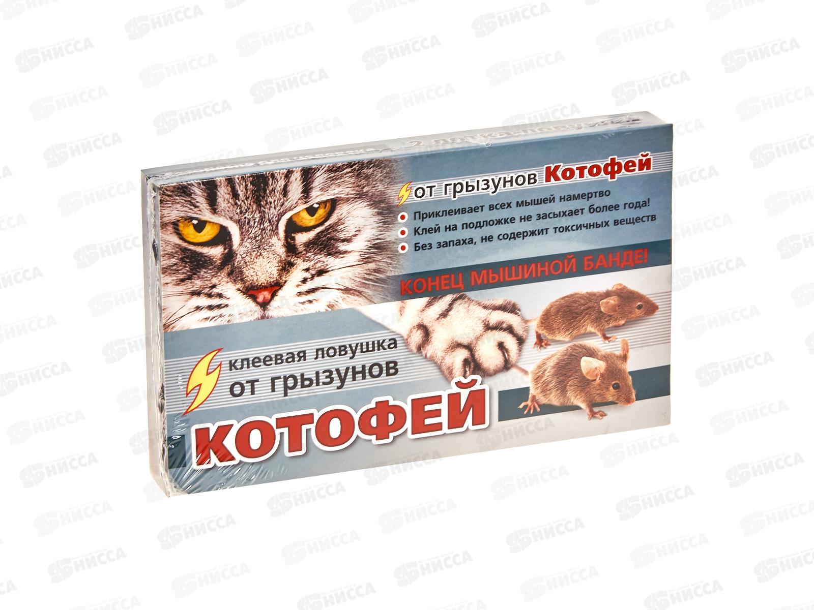 КОТОФЕЙ клеевой лоток MAXI  *12