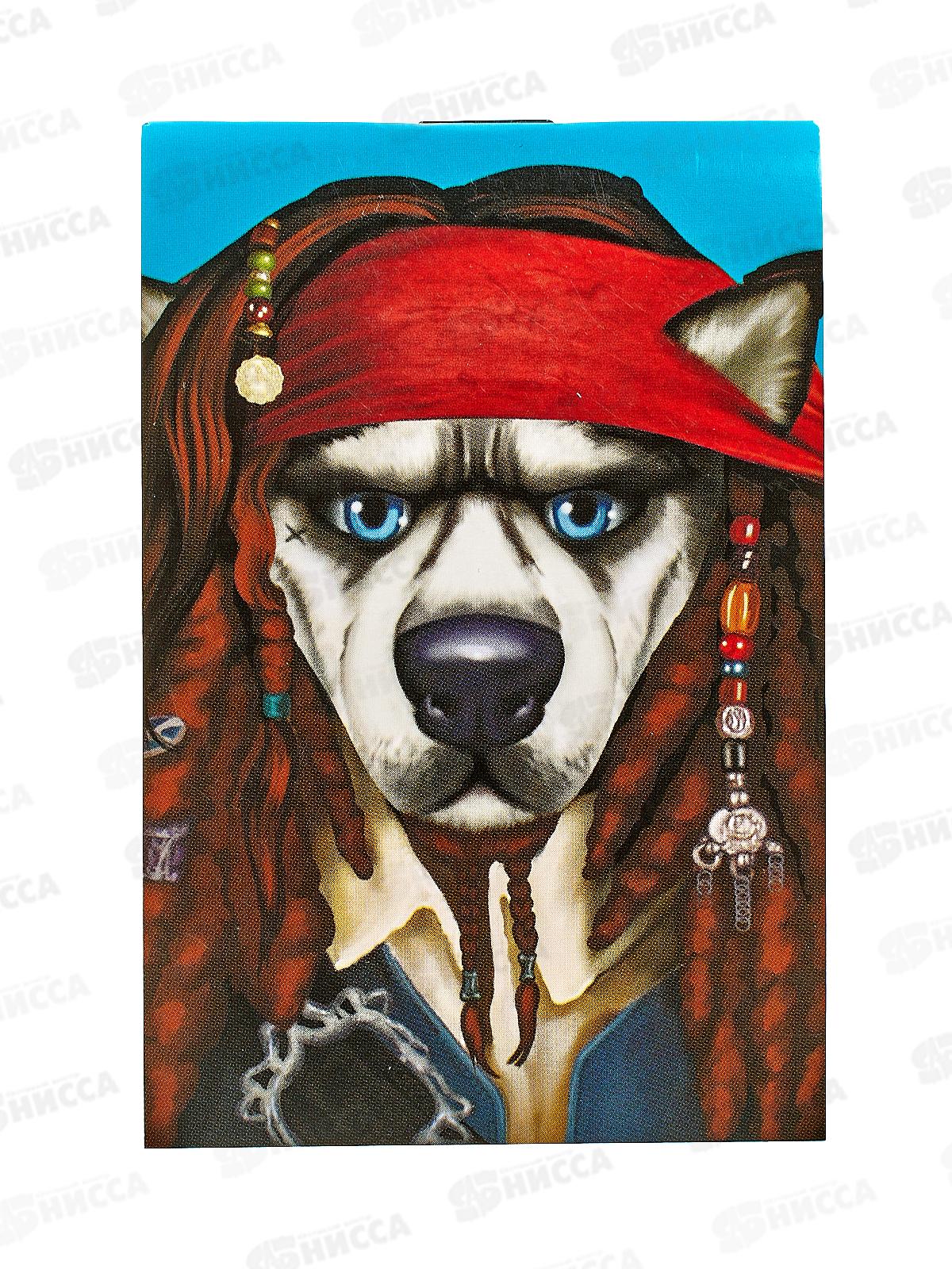 Блокнот 40л CENTRUM А7 Пес-Пират 74119 *64