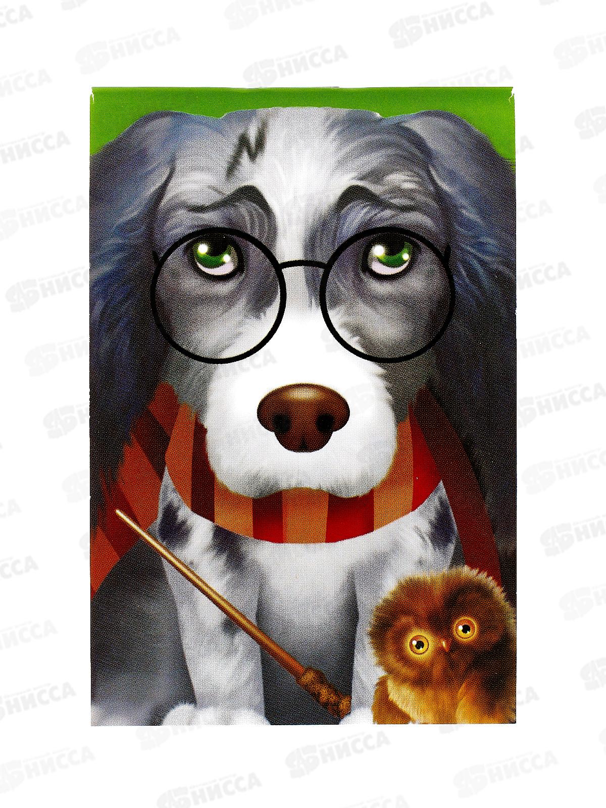 Блокнот 40л CENTRUM А7 Пес в Кашне 74120 *64