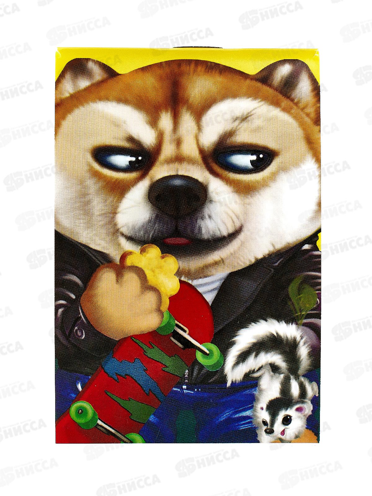 Блокнот 40л CENTRUM А7 Пес со скейтом 74121 *64