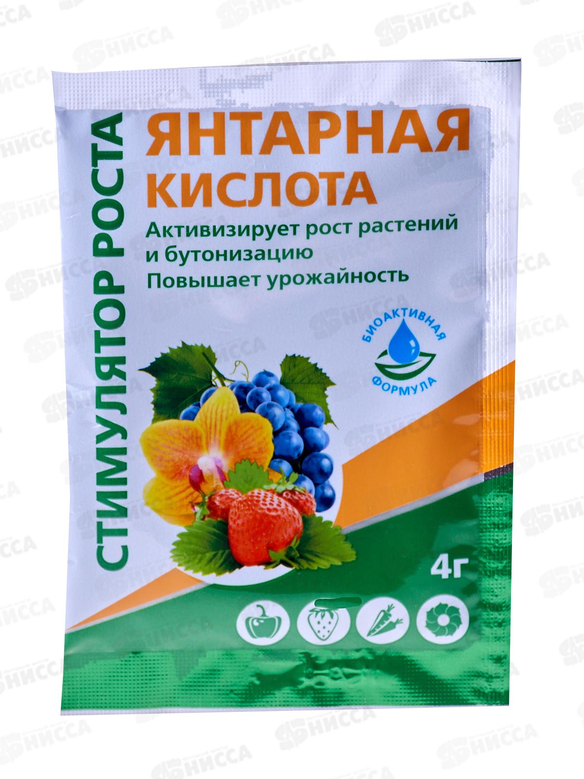 БИО МАСТЕР Янтарная кислота 4г  *150