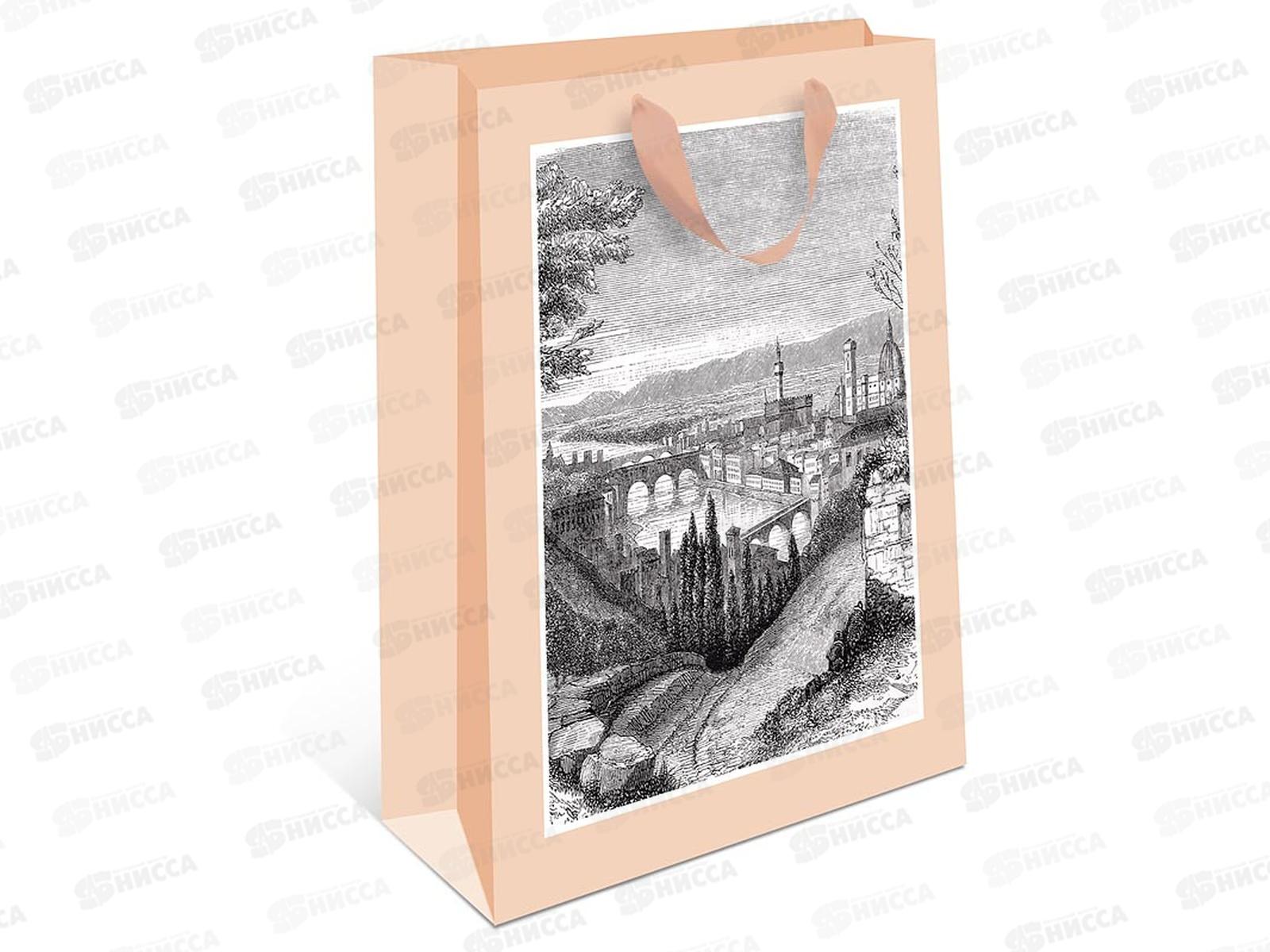 Пакет подарочный АД 18*22,3 Стандарт плюс 1312.394