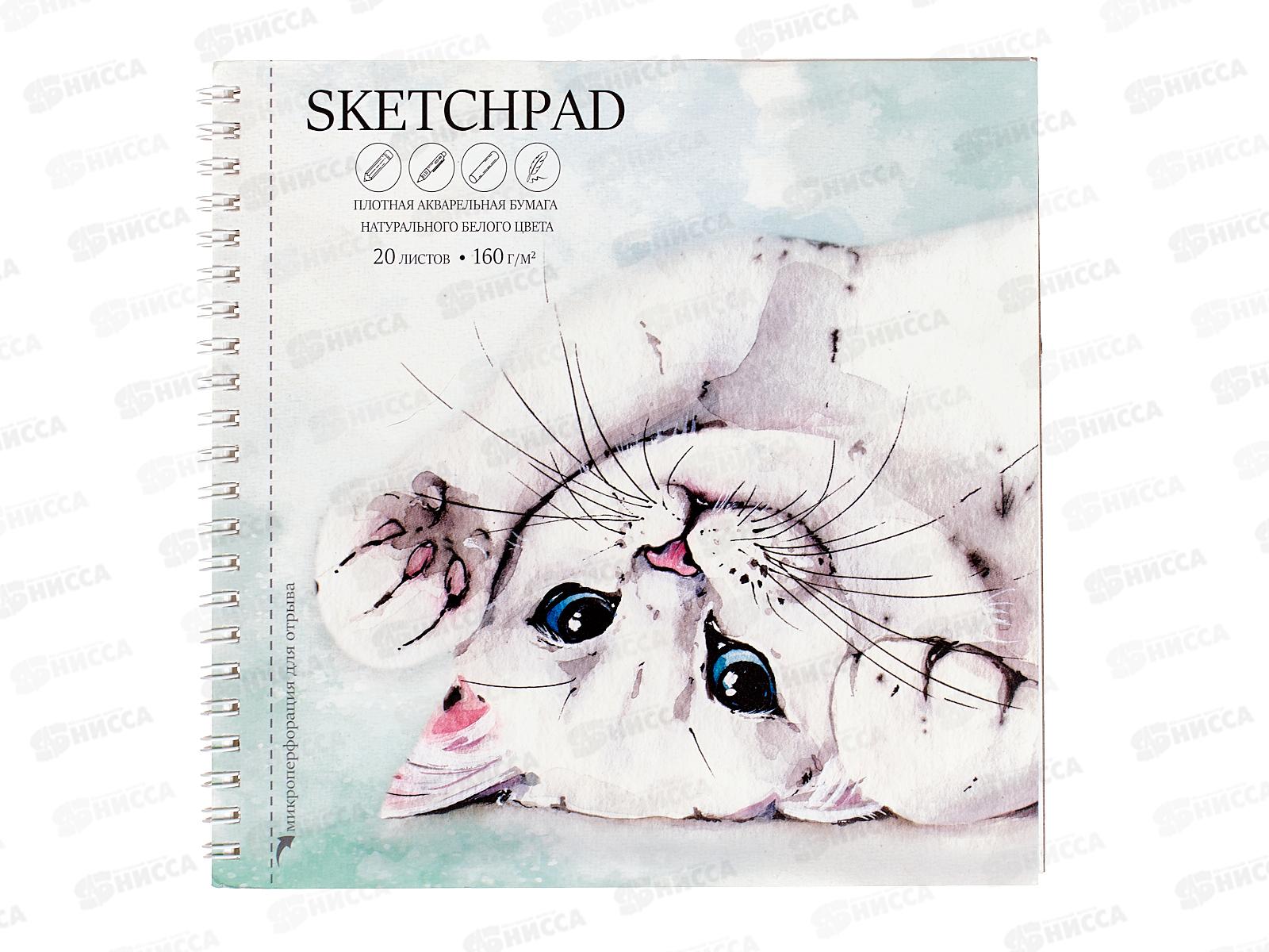 Скетчпад ФЕН 20листов ,Игривый кот 195х195мм, 62833*5/20