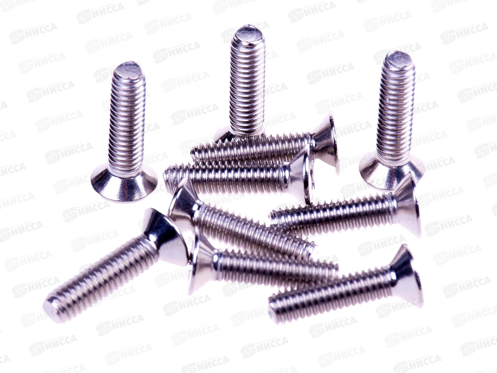 Винт (DIN965) А2 4*16 (10шт) Госкреп