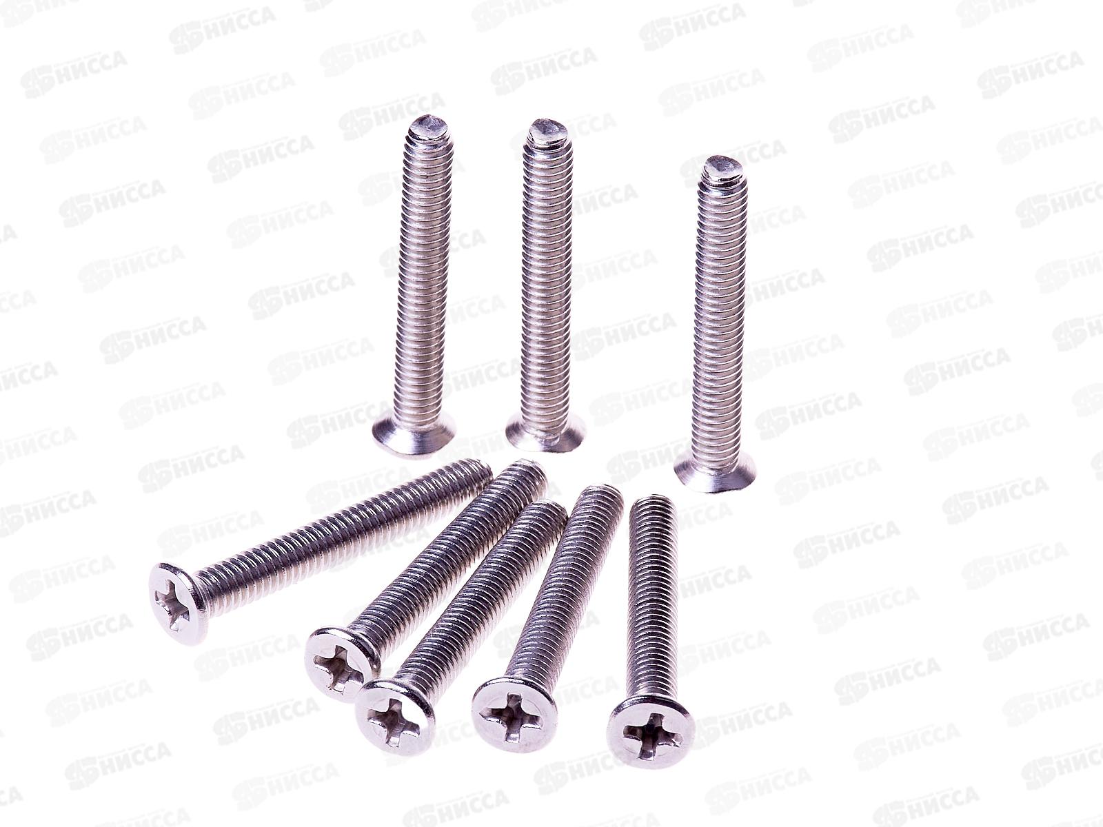 Винт (DIN965) А2 4*30 (8шт) Госкреп