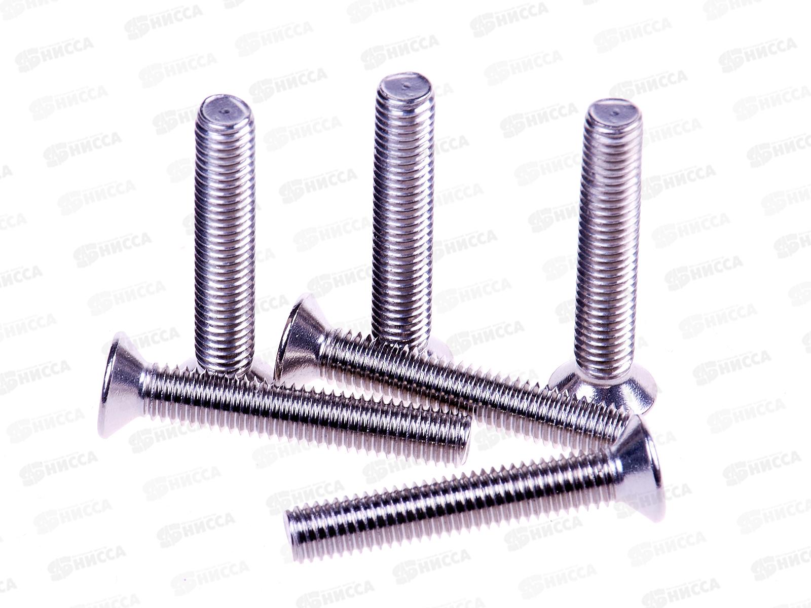 Винт (DIN965) А2 5*30 (6шт) Госкреп