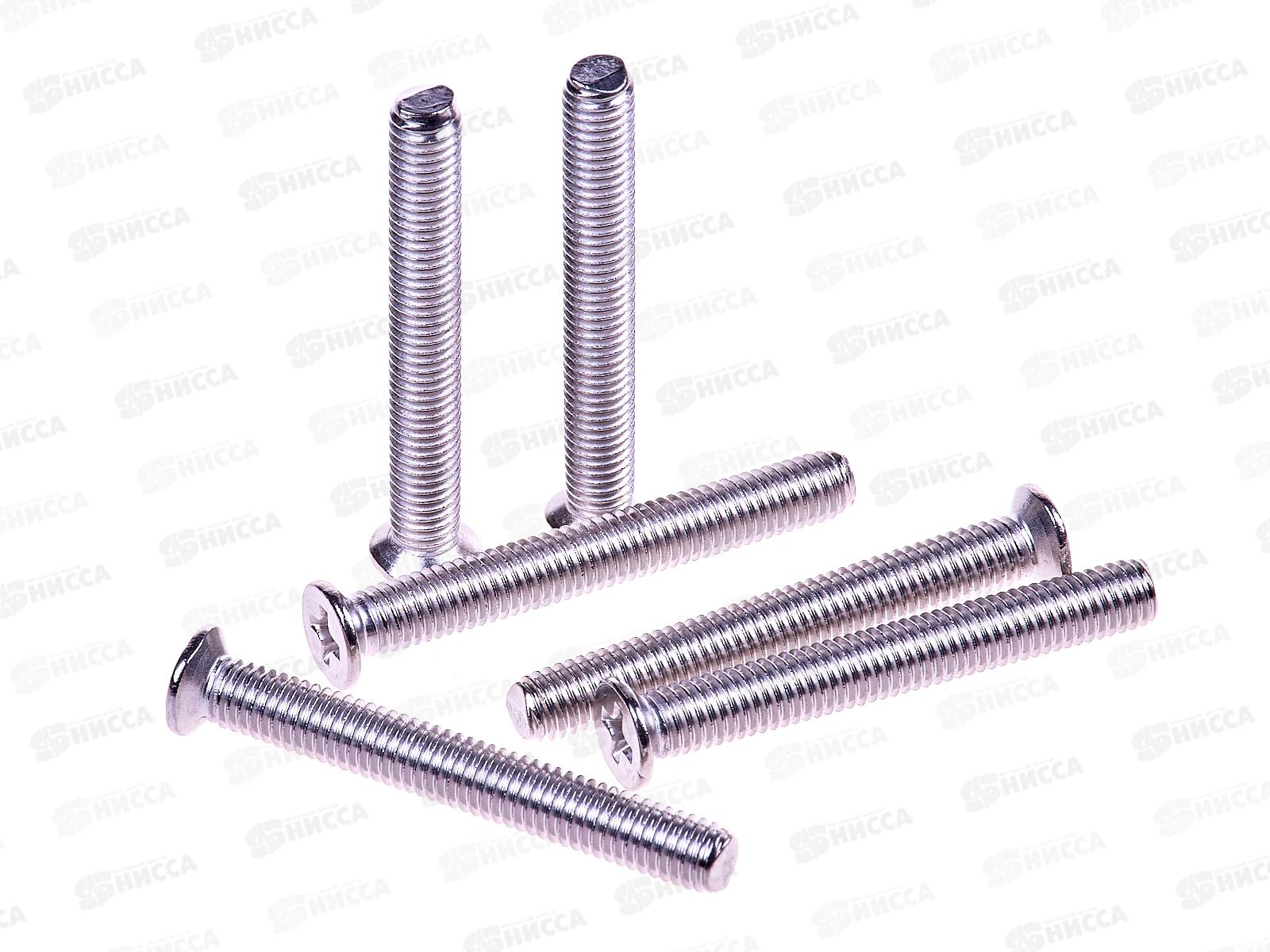 Винт (DIN965) А2 5*40 (6шт) Госкреп