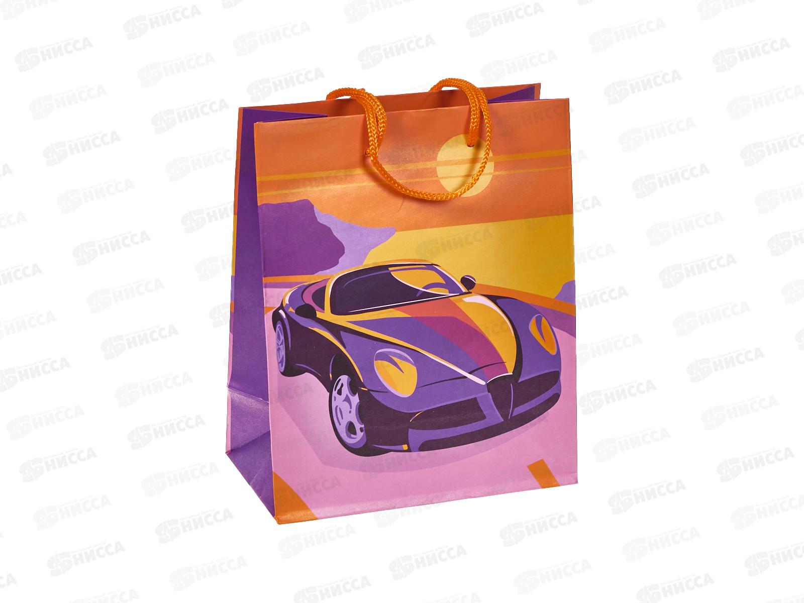 Пакет подарочный АД 18*22,3 0292.934