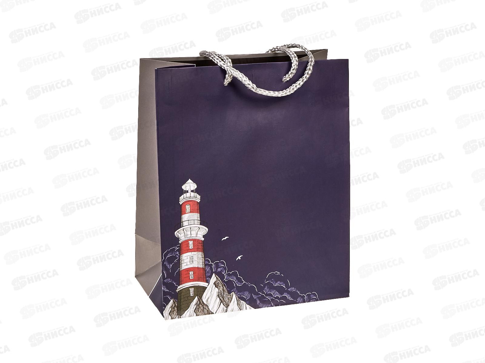 Пакет подарочный АД 18*22,3 0292.947