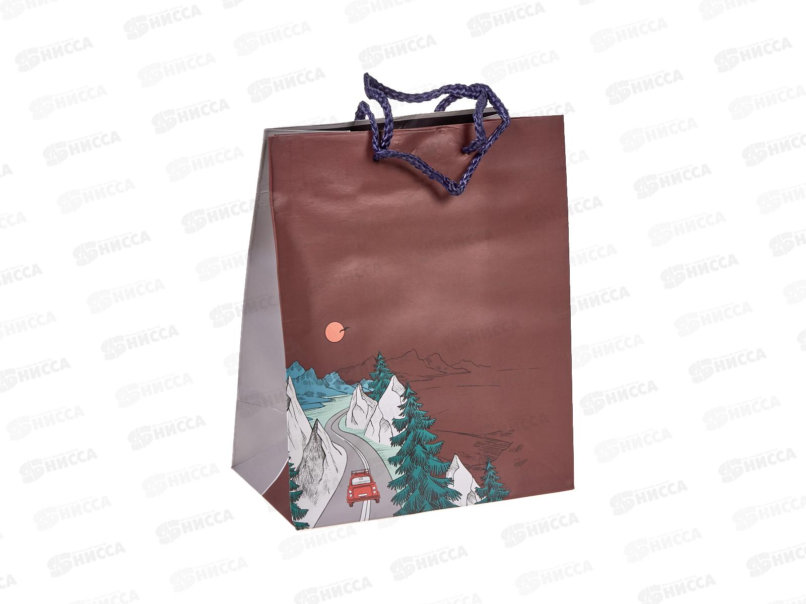 Пакет подарочный АД 18*22,3 0292.949