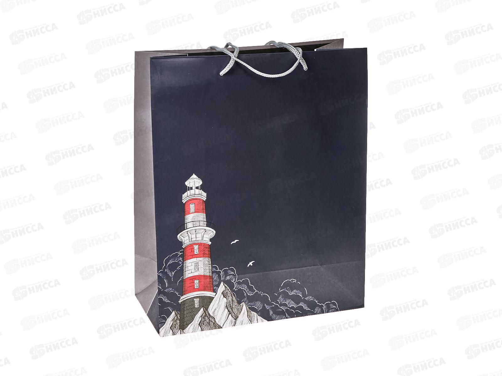 Пакет подарочный АД 26*32 0293.947