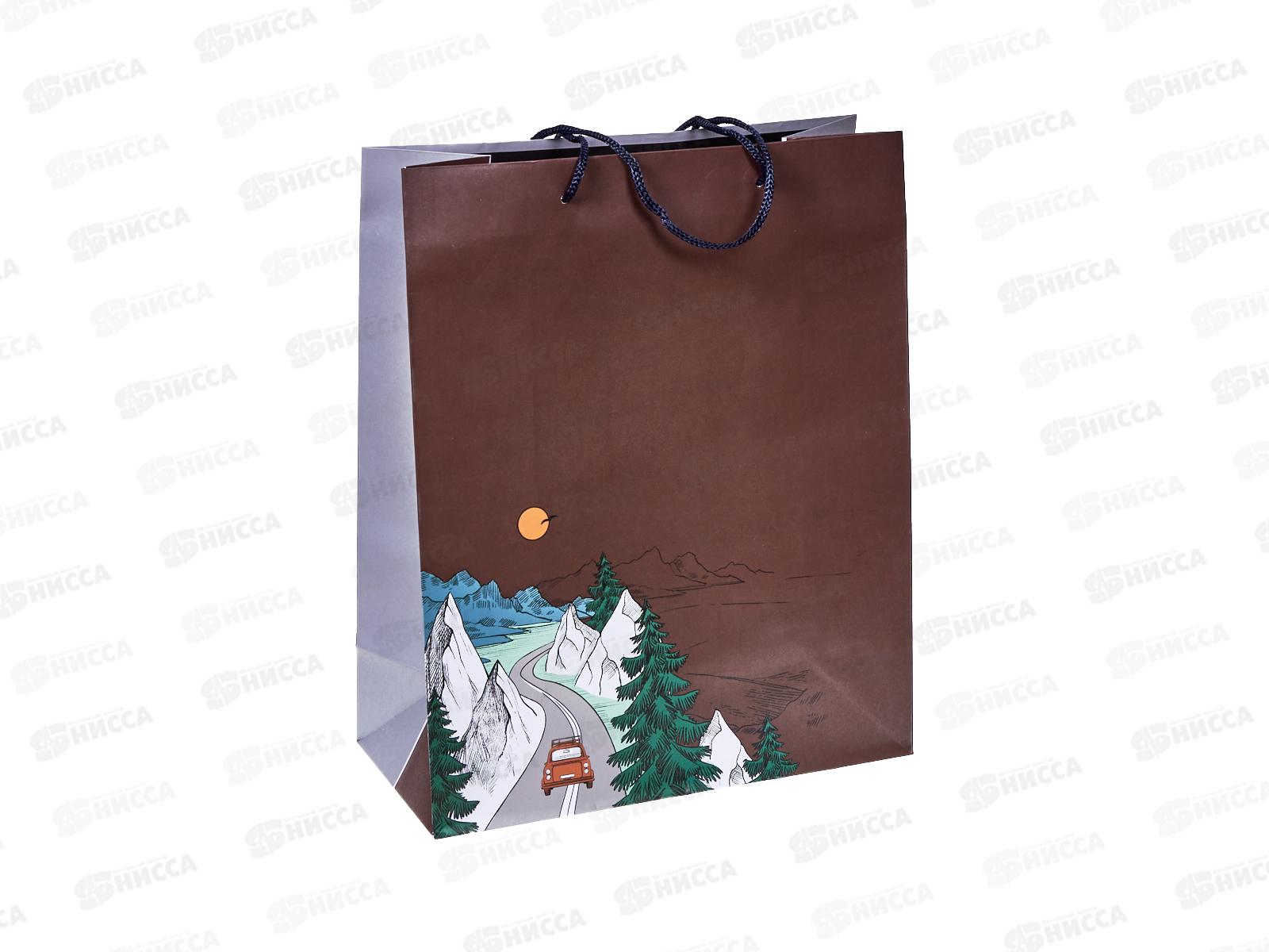 Пакет подарочный АД 26*32 0293.949